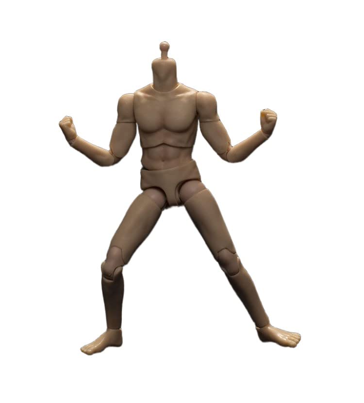 Amazon.co.jp: [AC] JO DOLL JO-010-BS 1/12 男性 男 筋肉 関節可動